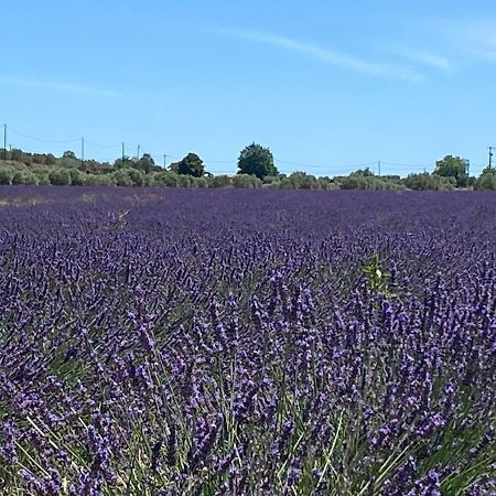Gite Cocotte Luberon, Forcalquier Pierrerue (Alpes-de-Haute-Provence) Exterior foto