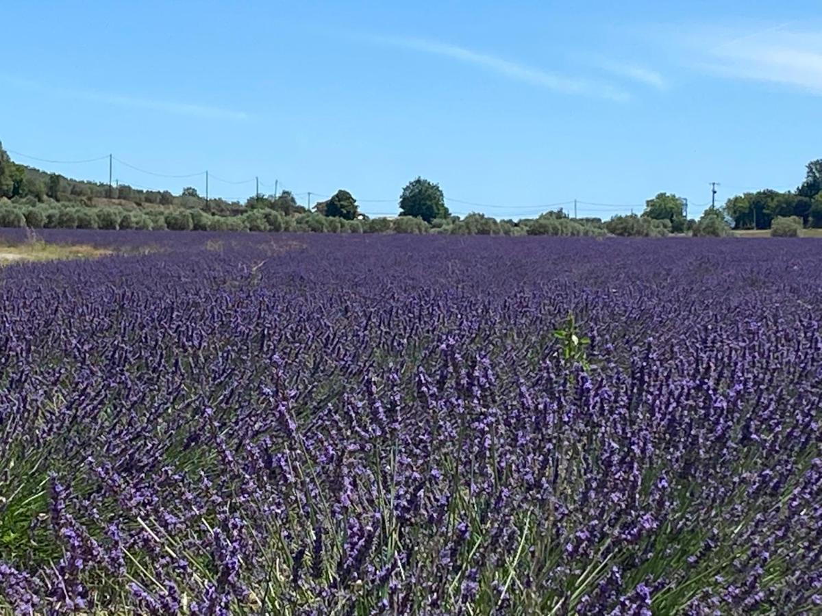 Gite Cocotte Luberon, Forcalquier Pierrerue (Alpes-de-Haute-Provence) Exterior foto