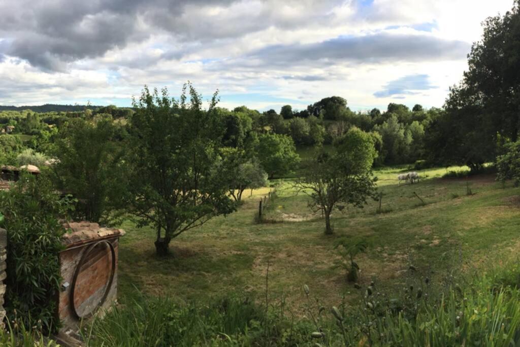 Gite Cocotte Luberon, Forcalquier Pierrerue (Alpes-de-Haute-Provence) Exterior foto