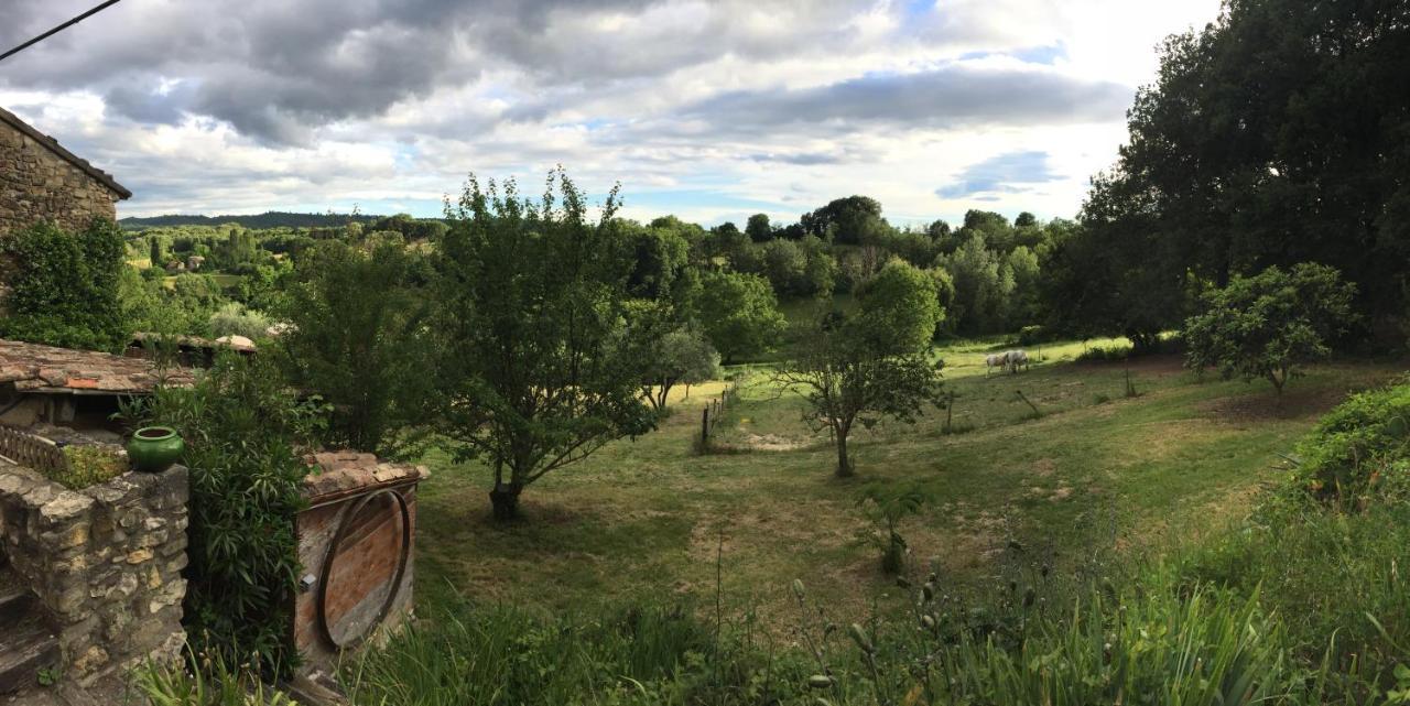 Gite Cocotte Luberon, Forcalquier Pierrerue (Alpes-de-Haute-Provence) Exterior foto